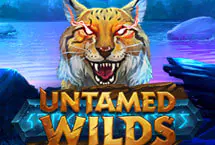 Untamed Wilds